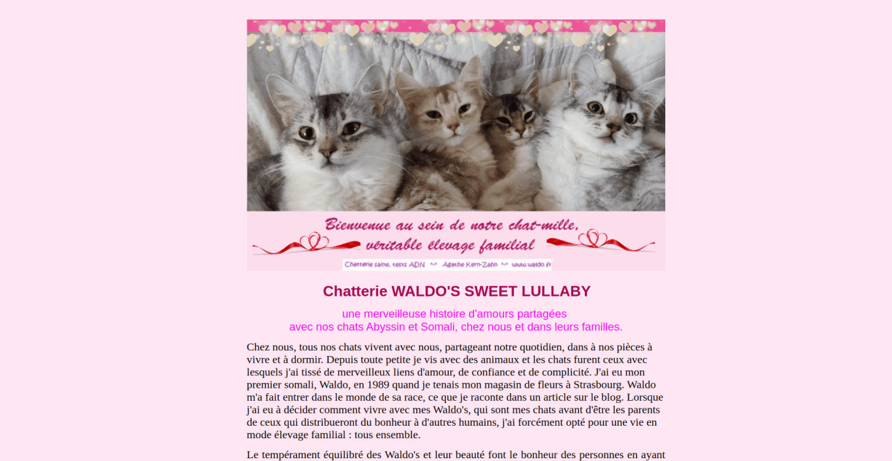 Mes références dans la création de sites web 12 FireShot Capture 018 Bienvenue chez Waldos Sweet Lullaby waldo.fr